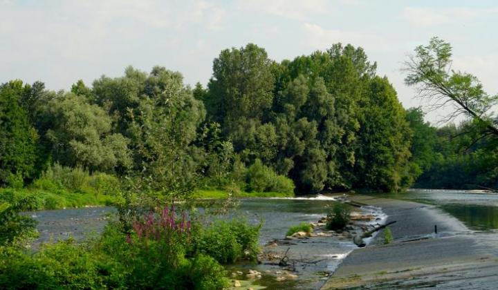 Pianura Bresciana Pianura Bresciana