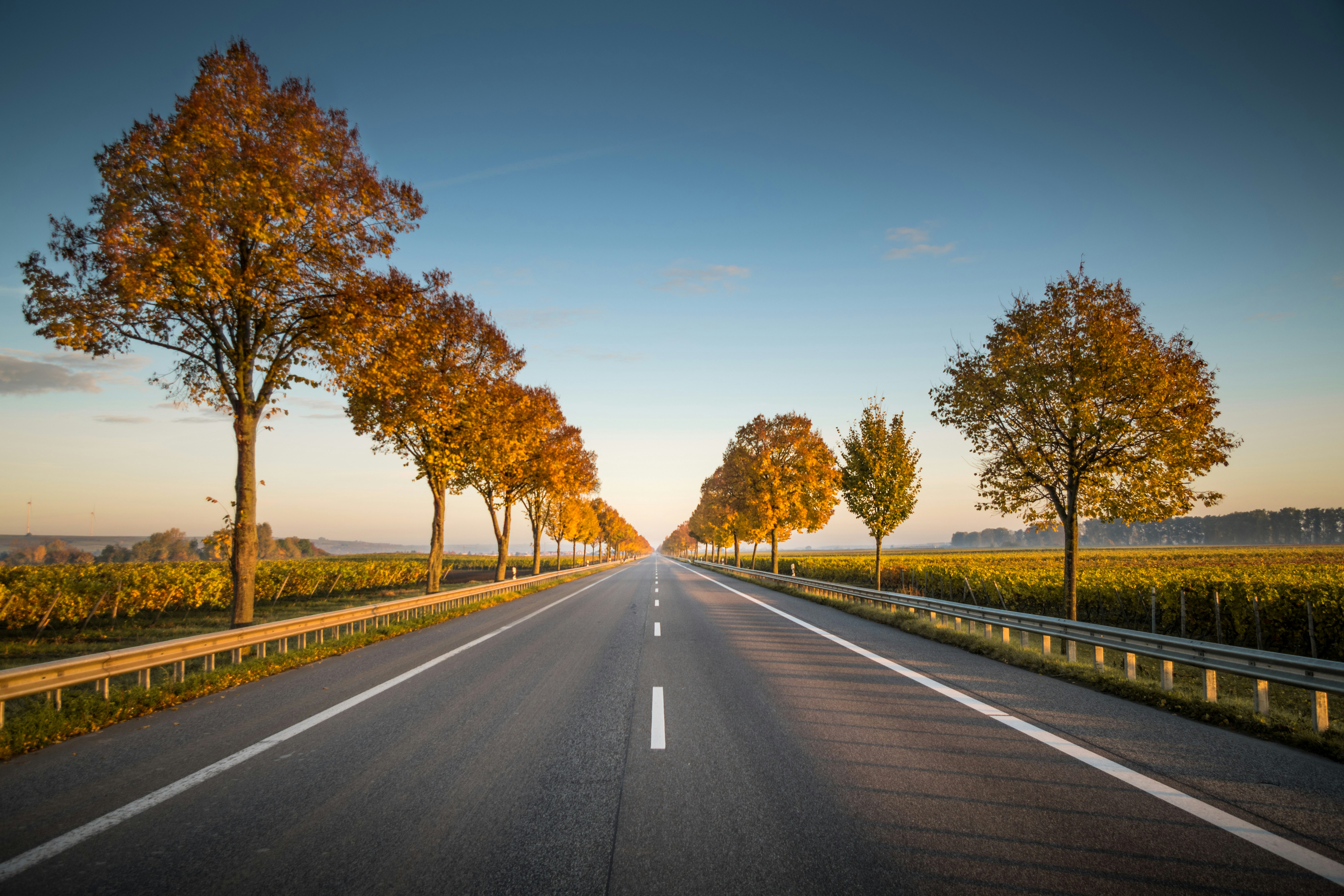 Riapertura della Strada Provinciale SP 50 \