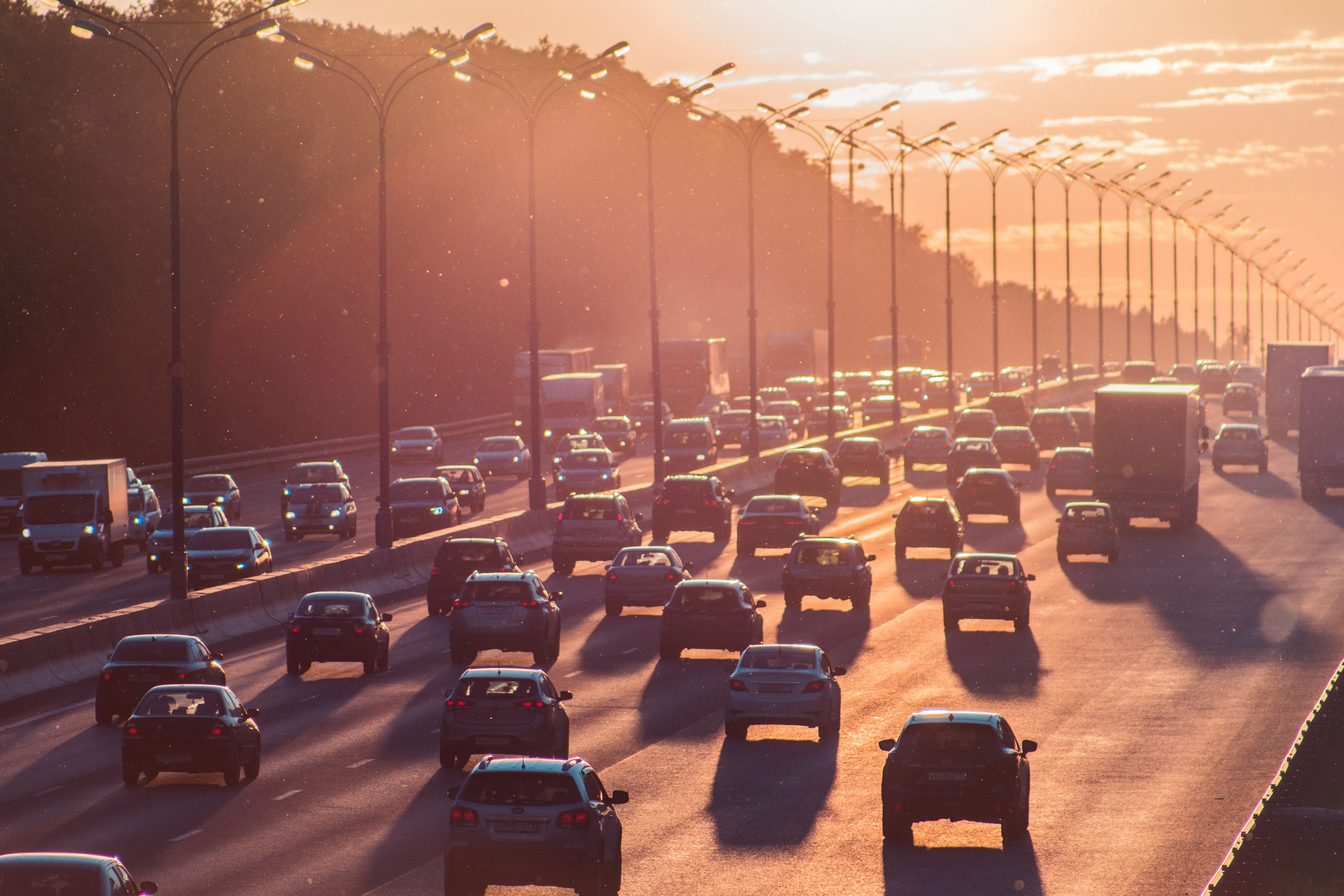 Esame per il conseguimento dell\'attestato di idoneit� professionale per l\'esercizio dell\'attivit� di trasportatore su strada di merci e persone - Sessione n. 6/2026 � Elenco Ammissione dei candidati